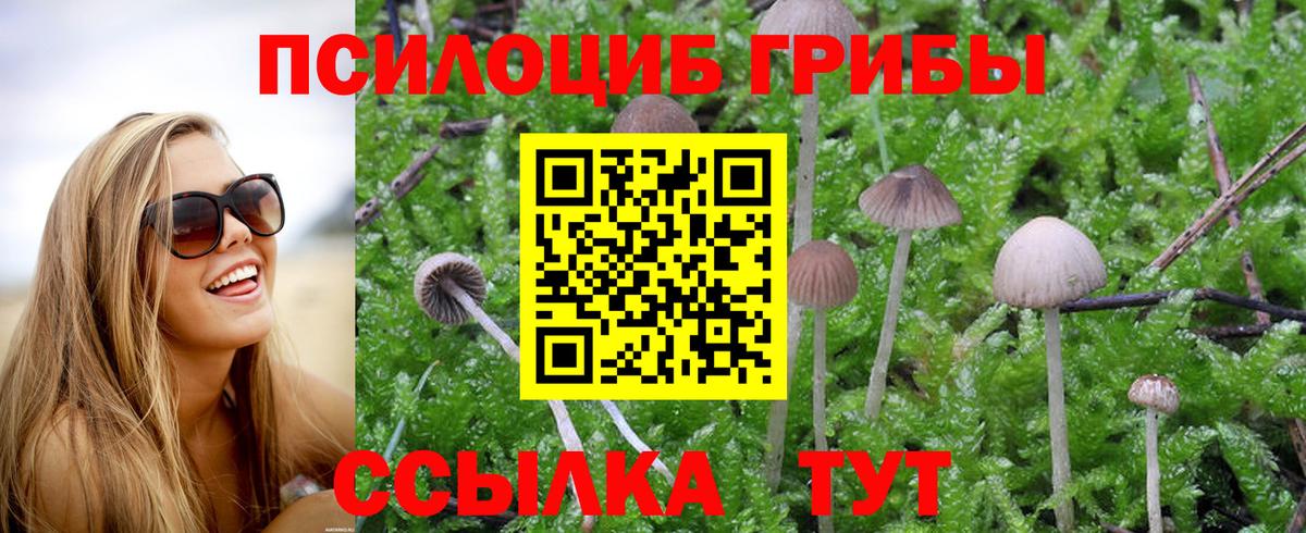 Псилоцибиновые грибы мухоморы  Вход с VPN  Ялуторовск  Псилоцибиновые грибы Cubensis 